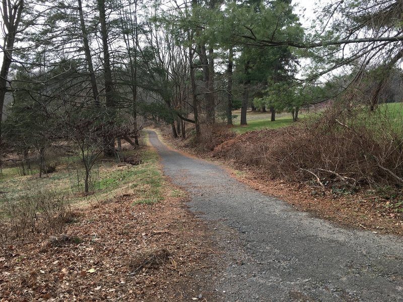 A nice, easy stretch on the Pennypack Trail.