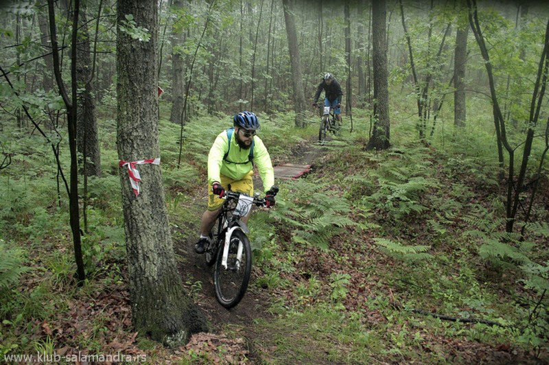 Racers pedaling through the Salamandra Trail on a foggy day.