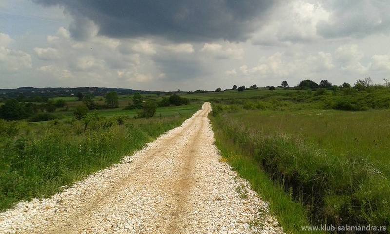 A gravel road section that's part of the MTB Kros "U srcu Šumadije" race.