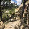 More rocky downhills above the creek.