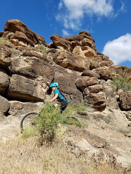 Rock stacks above the Fossil Canyon trail.