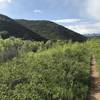 Scenic views on the Mormon Pioneer Trail.