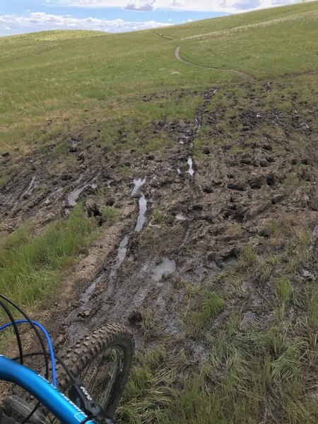 Intersection of Sweet Connie and Chukar Butte. Watch the mud!