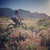 Spring in the desert, 2017. Riding the Badger Pass trail.