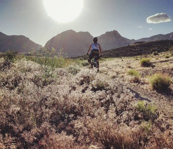 Spring time in 2017 was like riding in a meadow on the Cottonwood Valley Trails.