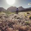 Spring time in 2017 was like riding in a meadow on the Cottonwood Valley Trails.