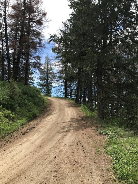 At the end of Hard Guy. Down from this road is the Dry Creek descent.