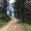 At the end of Hard Guy. Down from this road is the Dry Creek descent.