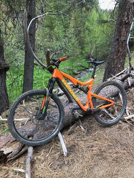 Dry Creek and my Santa Cruz. The Dry Creek descent is amazing.