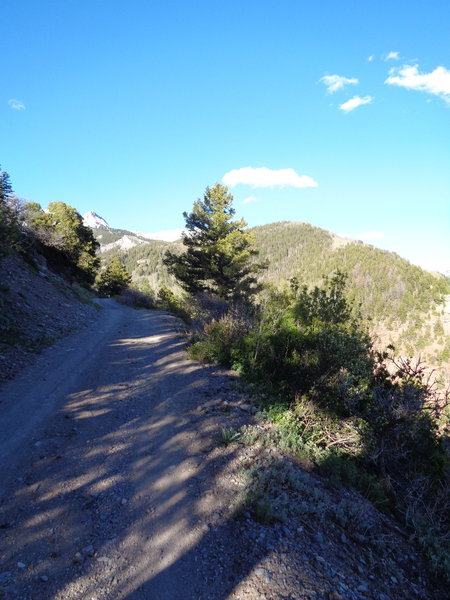 The Mill Creek Road adds up to a long steep climb.