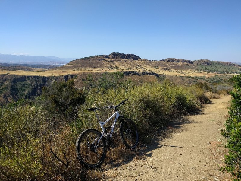 The singletrack on the way down to the intersection with Wildwood and fast and smooth.