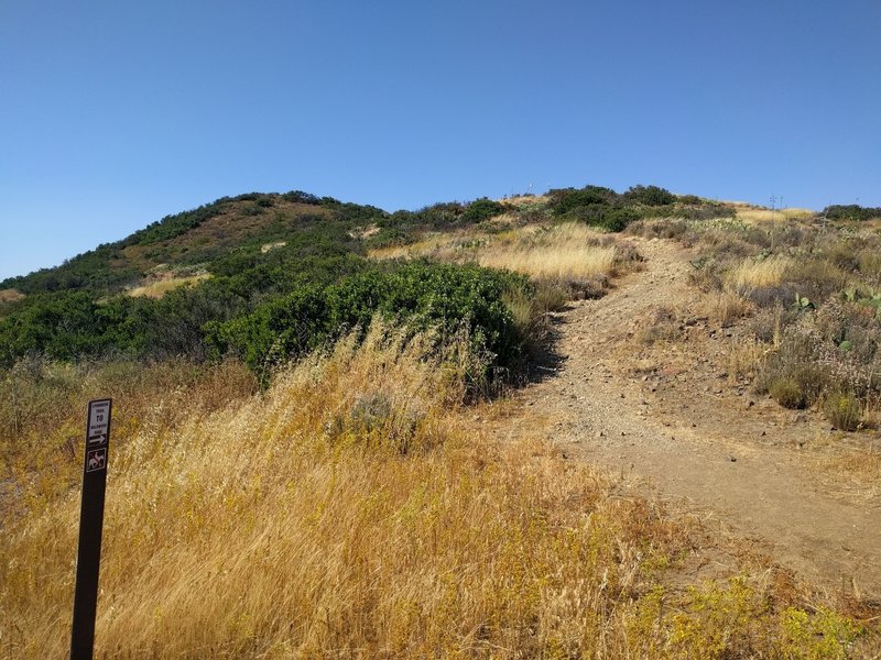 One of the tougher sustained climbs on this trail. It's loose but doable, and the reward is some  really fun singletrack at the top.