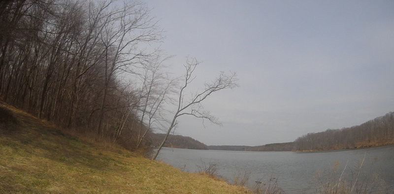 Piney Run Lake.