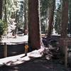 Beginning of High Lakes Trail at Fish Lake, OR.