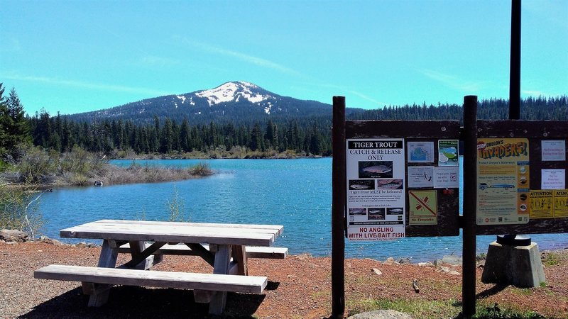 Fish Lake trail near boat launch, spring 2017.