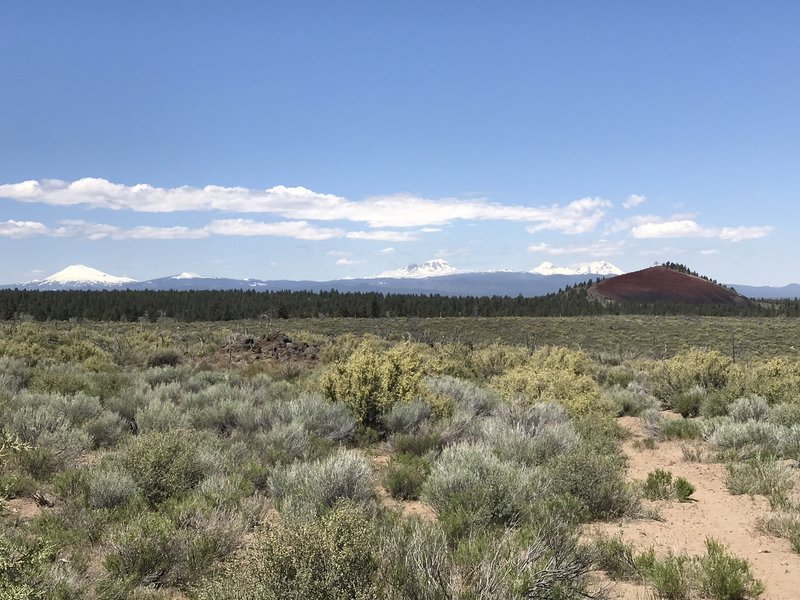 View from the Coyote Loop trail.