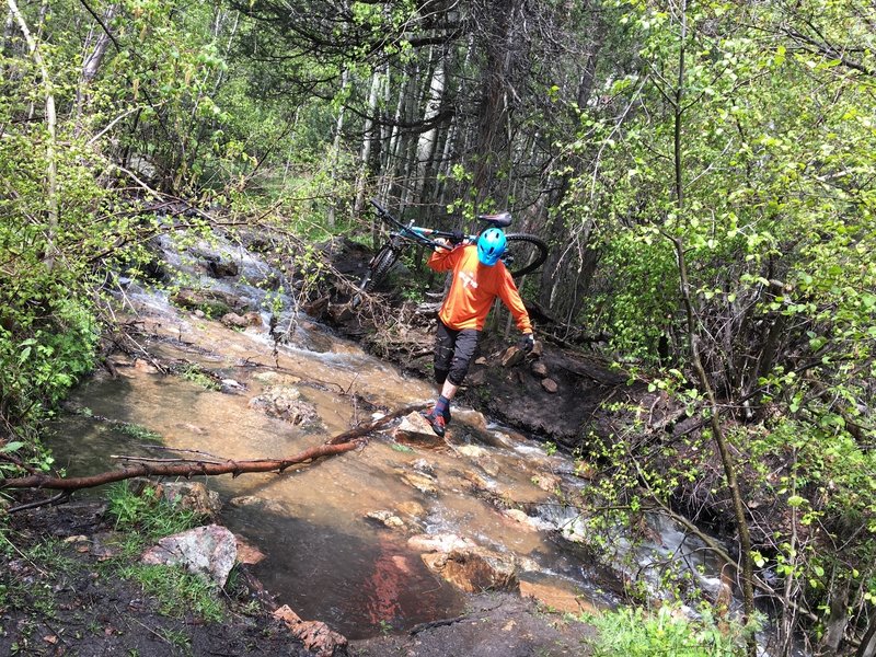 Heavy spring runoff adds to the adventure with several creek crossings. They're all rideable in spite of what this guy is doing.