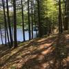 Nice lake view on Easiest Loop trail.