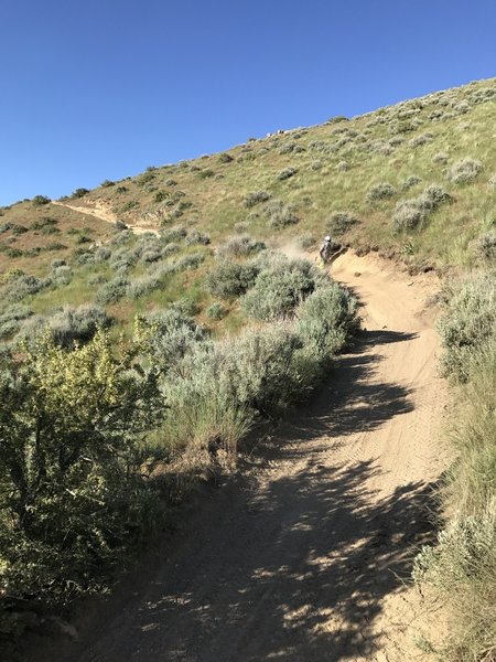 Steep, sandy and rocky sections definitely keep things exciting on the 8th Street Motorcycle Trail