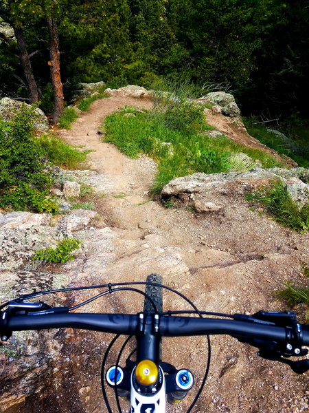 The Mustang Trail has some tricky drops. But it's still a super fun trail and one of my favorites!