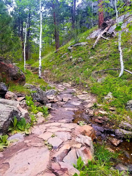 One of a few stream crossings on the Mustang Trail. The scenery here is really beautiful.