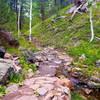 One of a few stream crossings on the Mustang Trail. The scenery here is really beautiful.