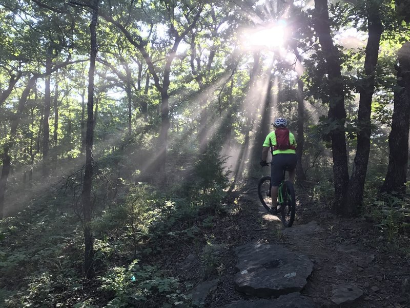 Into the light on the North Trail.