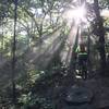 Into the light on the North Trail.