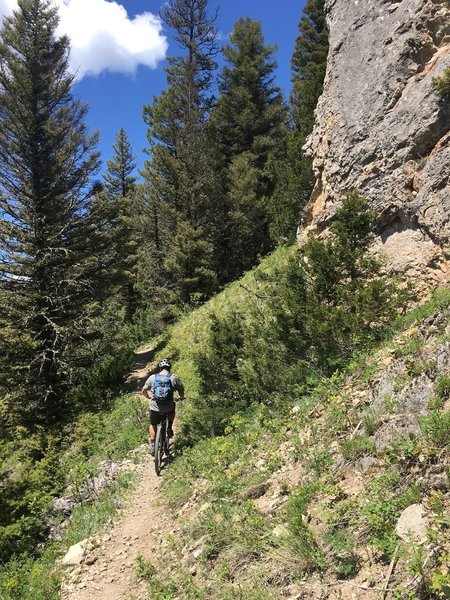 Supposed "Wall of Death" singletrack.