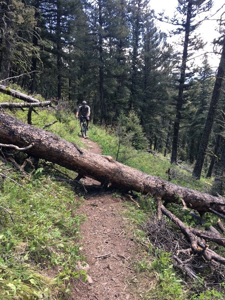 Dead Fall on "Wall of Death" descent.