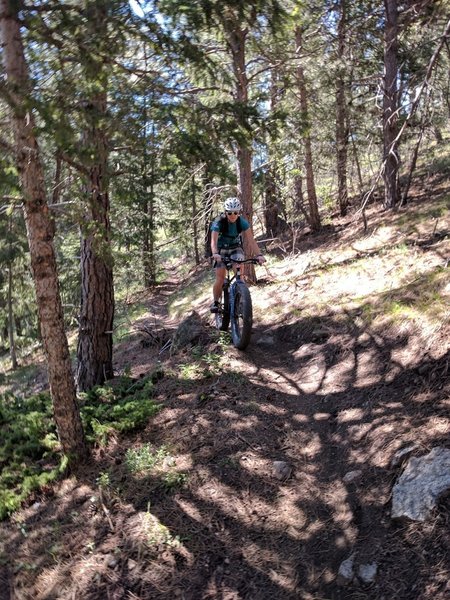 Back in the trees after the upper gnar on the Bon Scott Trail.