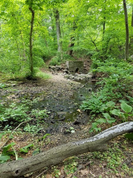 A little stream crossing at the north end of the park.