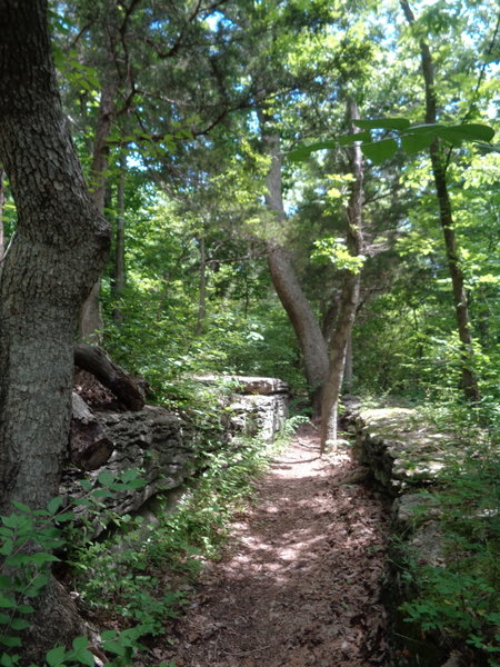 The trail comes down this right hand ledge if ridden CCW.