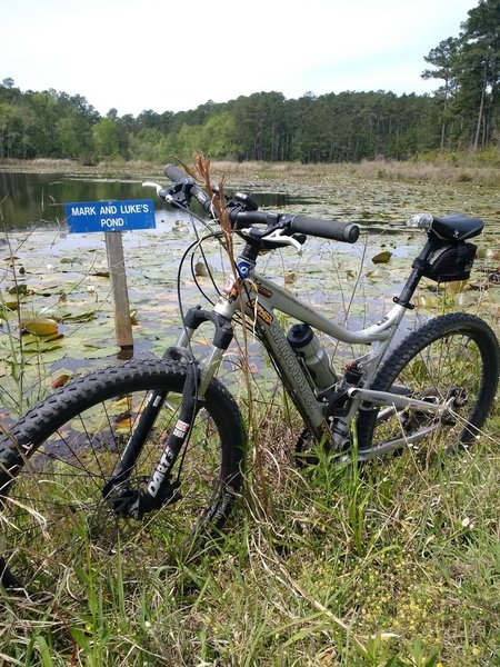 View from the edge of the pond on the Red Loop.