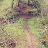 Exactly 1.0 mile from the 715 TH off Mt Herman Rd, you'll come to a fork. Go right and you'll climb a nasty hill, YES choose it. Proceeding left brings riders to this stream. Choose the high road!