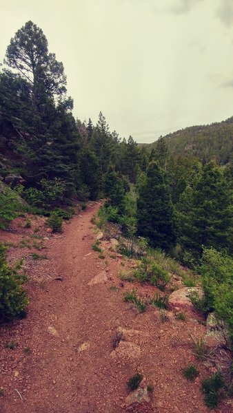 Nice singletrack sections in the canyon along the Monument Trail.