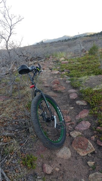 There are lots of boulders to dodge on this section of Flow Dog.