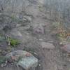 Nearly the entire section next to Mt Herman road is made up of of rocky singletrack.