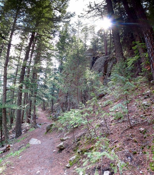 Pretty singletrack along Lower Dedisse.