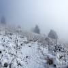 A shroud of fog sits over the Parmalee Trail during winter.