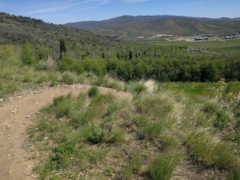 View of the new Skullcandy building from the Iron Bill trail.