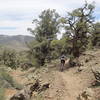 Riding beneath some short ledges on the Westagard Pass Trail.