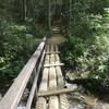 Cove Creek Loop bridge.