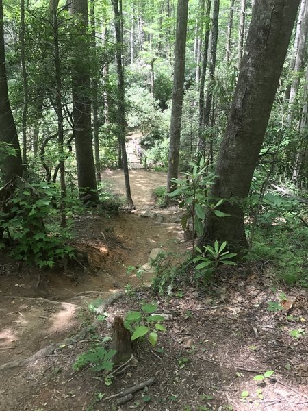 The view down to the Cove Creek Loop Bridge.