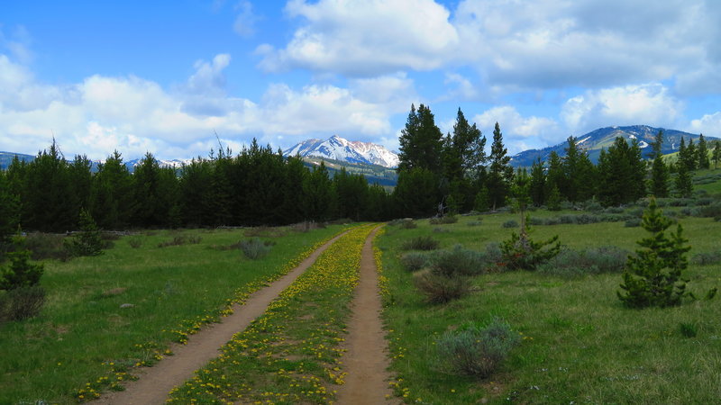 The views from the Bunsen Peak Road Trail don't disappoint.