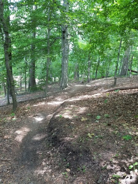 Traveling along the Crossbow Trail towards Philly Pumptrack.