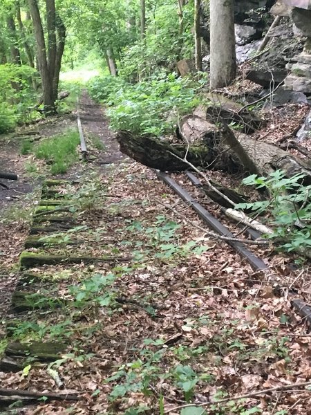 Remnants of the Chesapeake and Ohio Railroad on the Southside Junction Trail. Railroad ties and track are exposed throughout the trail.