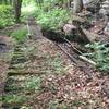 Remnants of the Chesapeake and Ohio Railroad on the Southside Junction Trail. Railroad ties and track are exposed throughout the trail.