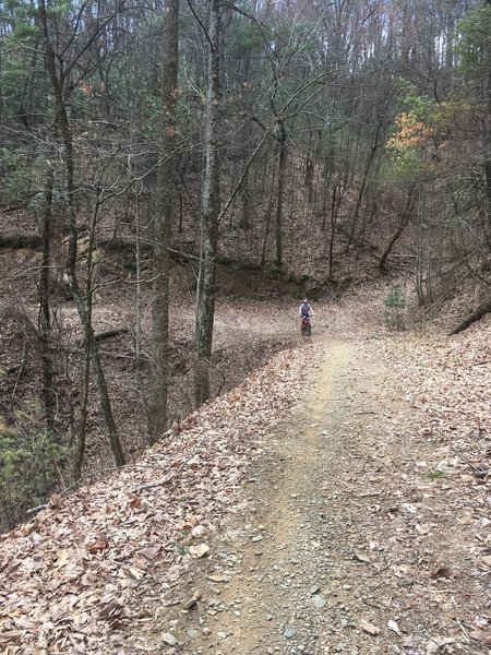 The last bit of climbing before reaching the top and starting the downhill section on Pinhoti 2.