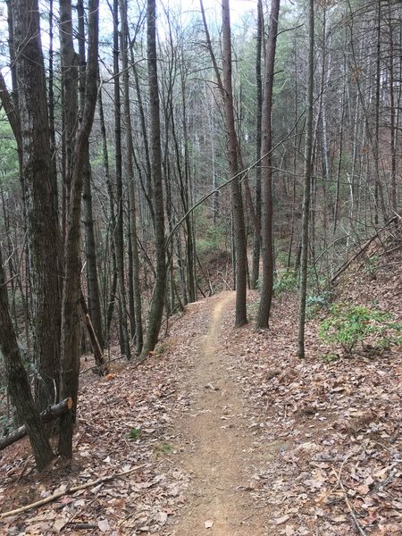 The downhill section along the ridge provides some great views.